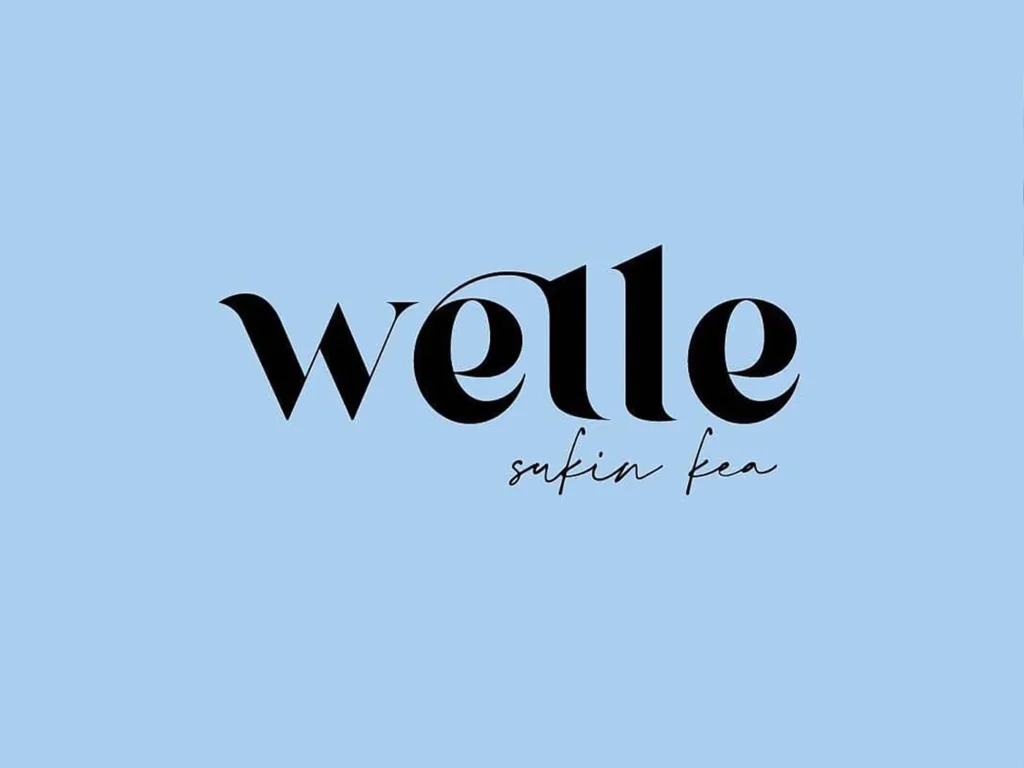 Welle brand identity presentation 1