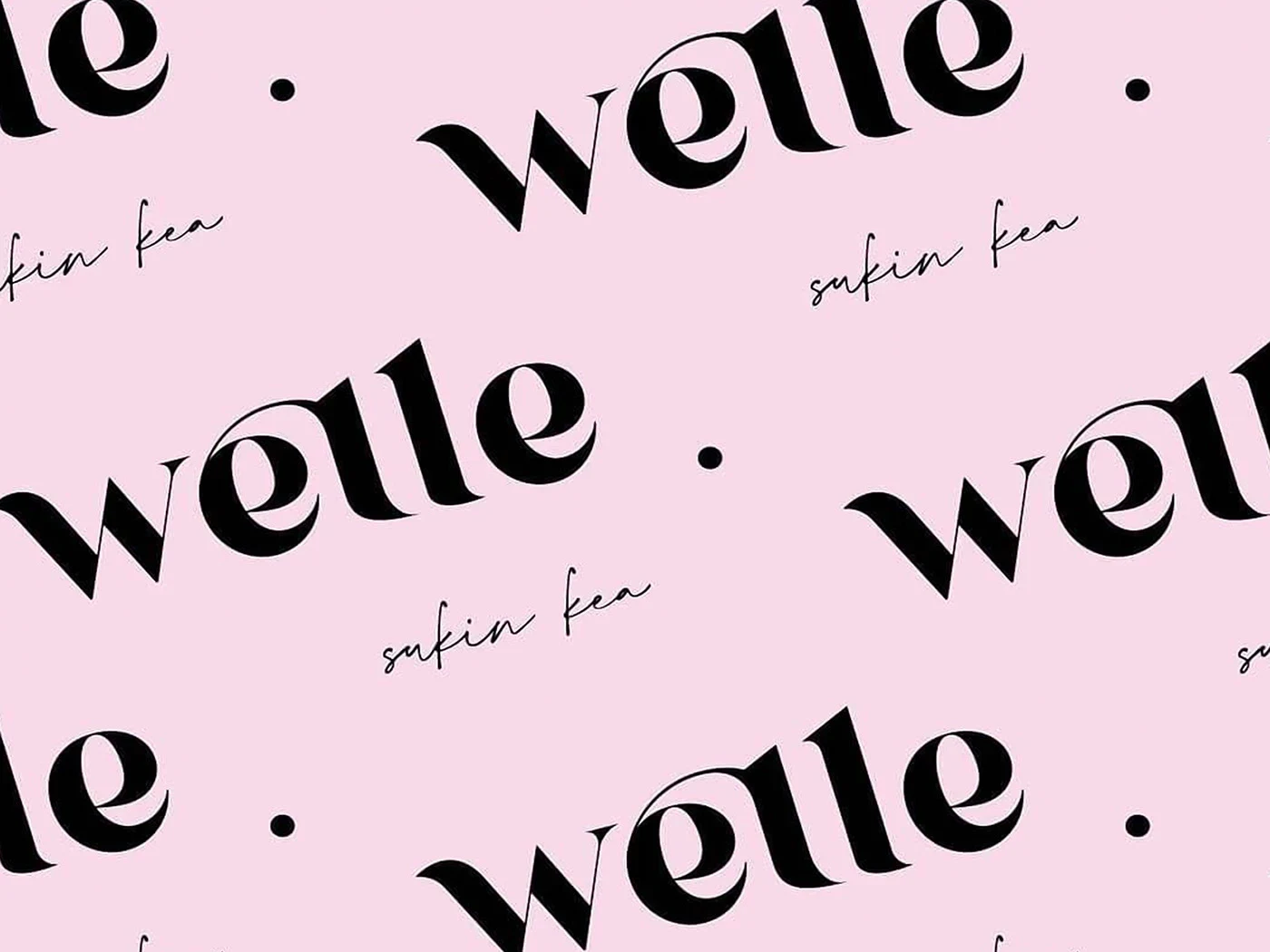 Welle brand identity presentation 3
